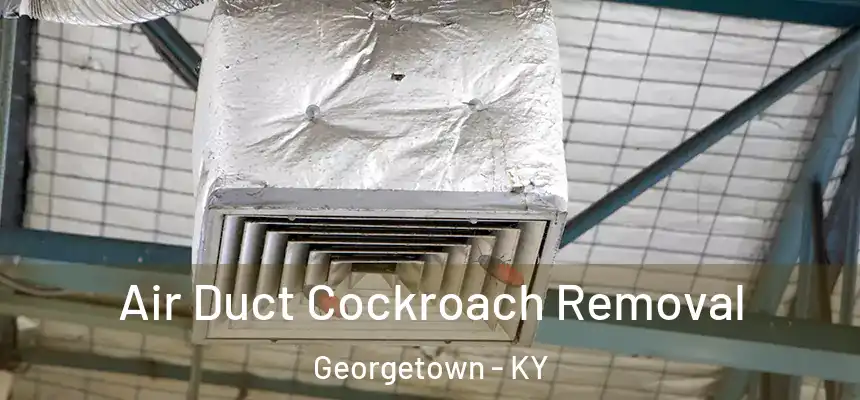  Air Duct Cockroach Removal Georgetown - KY