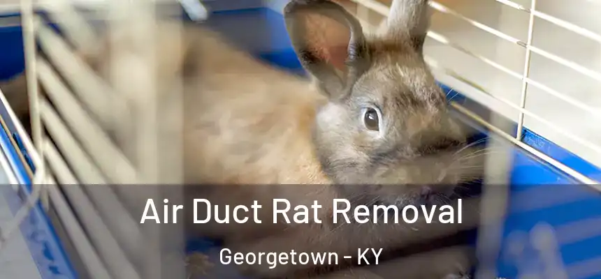  Air Duct Rat Removal Georgetown - KY