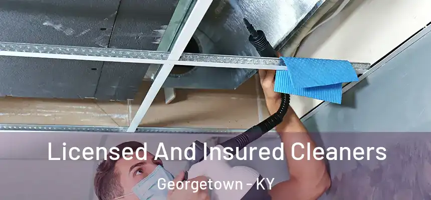  Licensed And Insured Cleaners Georgetown - KY