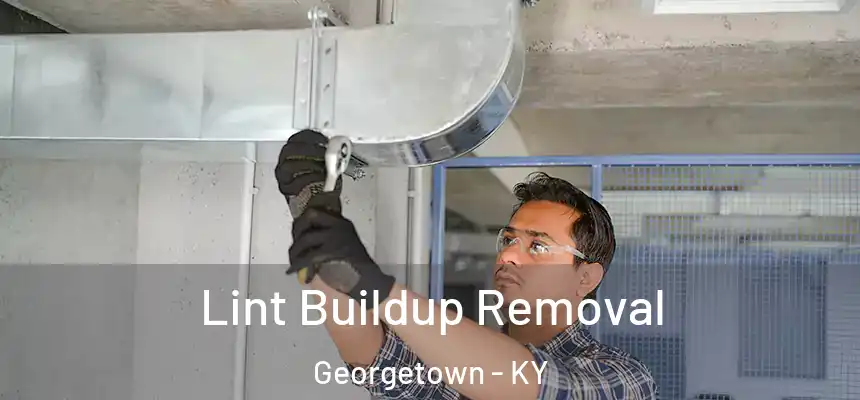  Lint Buildup Removal Georgetown - KY