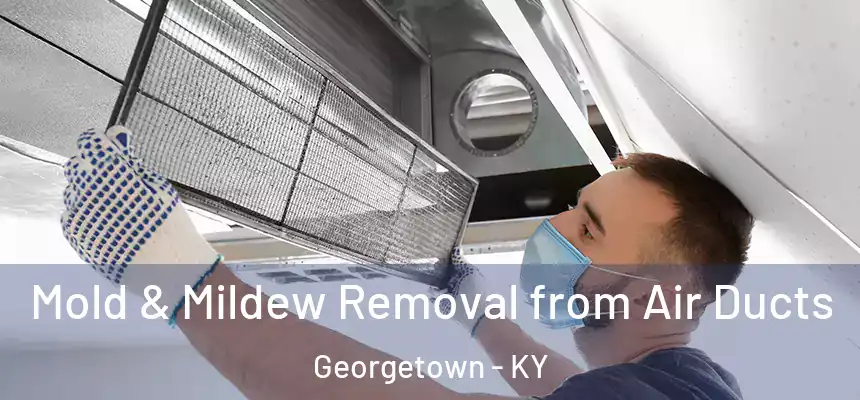 Mold & Mildew Removal from Air Ducts Georgetown - KY
