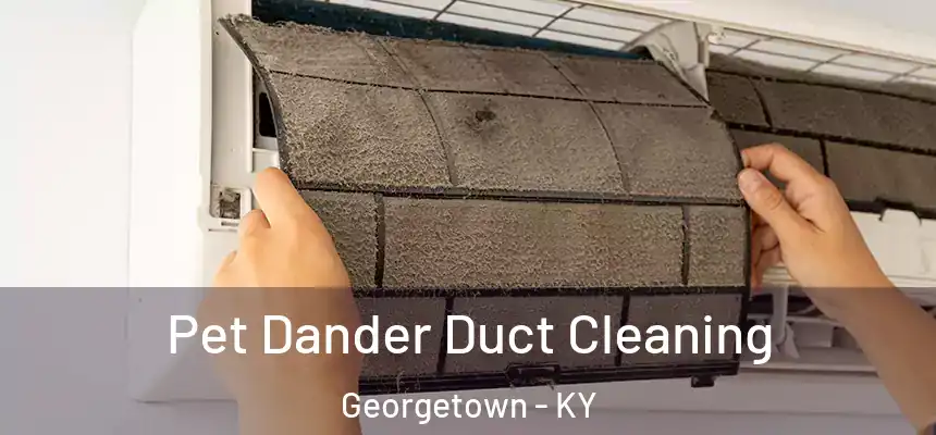 Pet Dander Duct Cleaning Georgetown - KY