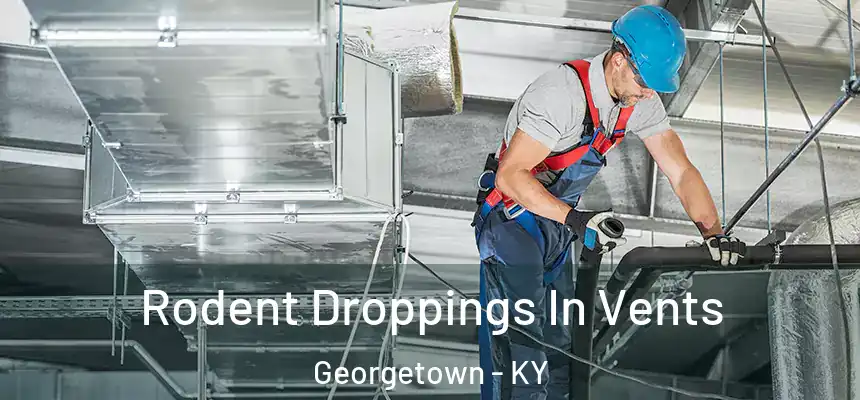  Rodent Droppings In Vents Georgetown - KY
