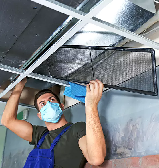About Air Duct Bacteria Removal in Georgetown