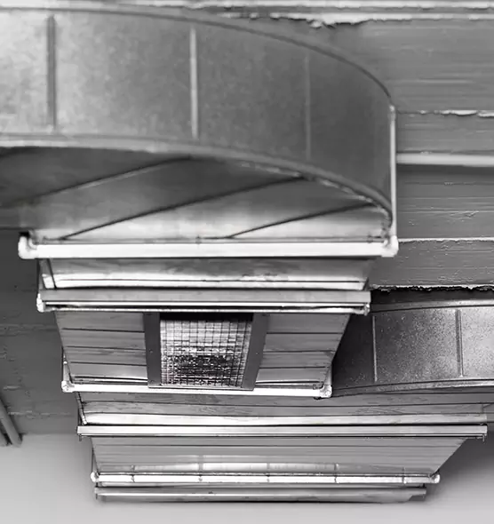 Professional Air Duct Pet Hair Removal in Georgetown, KY