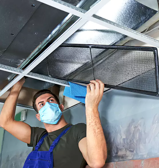 Professional Air Duct Pollen Cleaning in Georgetown, KY