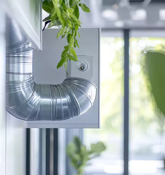 Professional Eco-Safe Dryer Vent Cleaning in Georgetown, KY