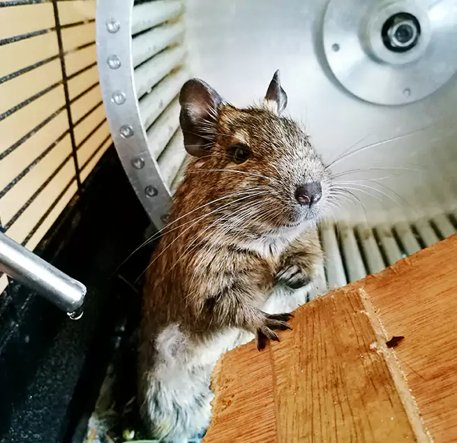 Why Homeowners & Businesses Trust Us Georgetown, KY?