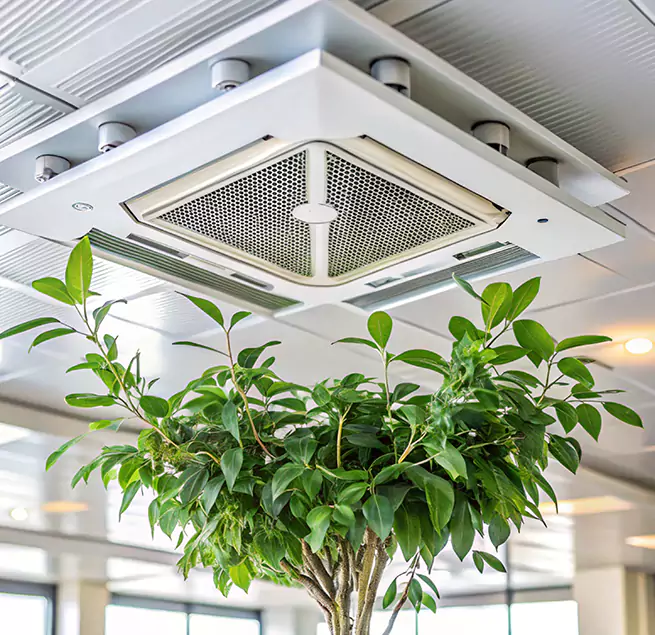 Why Homeowners & Businesses Trust Us in Georgetown, KY