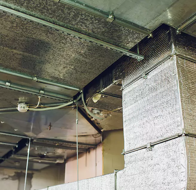 Why Homeowners & Businesses Trust Us in Georgetown, KY?